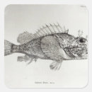 Recherche de nageoires autocollants Vie marine