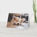 Recherche de elizabeth vœux cartes Chiot