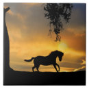 Recherche de beau cheval carreaux Pays