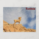 Recherche de tunisien cartes postales Désert