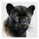 Recherche de panther posters Wildlife
