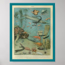 Recherche de requin vintage posters Mer