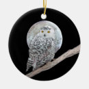 Recherche de de hibou ornements Lune