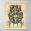 Recherche de morbide posters Bizarre