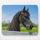 Recherche de cheval noir tapis souris Animal