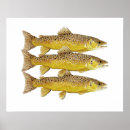 Recherche de trout posters Cutthroat