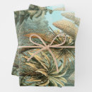 Recherche de haeckel papier cadeau Botanique