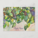 Recherche de seringue cartes postales Rose