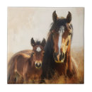 Recherche de poulain carreaux Mare