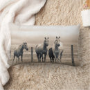Recherche de cheval quart Ferme