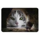 Recherche de chat et souris magnets Chats