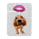 Recherche de angel magnets Halo