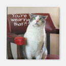 Recherche de bâillon magnets Chat