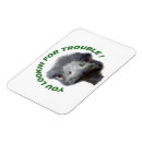 Recherche de autruche magnets Animal