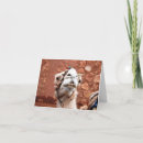Recherche de camel vœux cartes Salutation