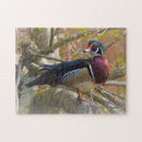 Recherche de mâle puzzles Sauvagine