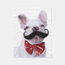 Recherche de moustache photographie Animaux de bébé