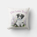 Recherche de de border collie coussins Chiot