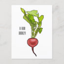 Recherche de radis cartes postales Salade