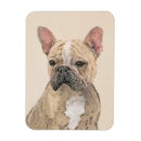 Recherche de francais magnets Chiot
