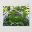 Recherche de cueillette cartes postales Pomme