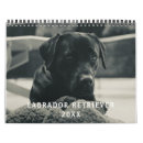 Recherche de labrador calendriers Drôle