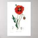 Recherche de poivre posters Vintage