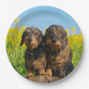 Recherche de teckel assiettes Dackel