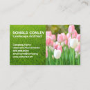 Recherche de tulipes roses cartes visite Fleurs