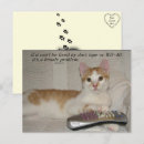 Recherche de humour femme cartes postales Chat