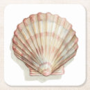 Recherche de coquillage dessous de verres Plage