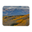 Recherche de tremble magnets Forêt