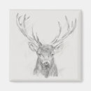 Recherche de occidental magnets Animaux