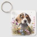 Recherche de beagle adorable Mignon