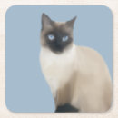 Recherche de chat siamois dessous de verres Mignon