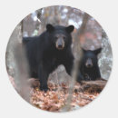 Recherche de ours noir autocollants Ourson