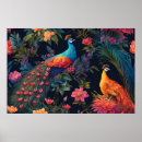 Recherche de oiseaux paradis posters Coloré
