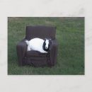 Recherche de humour de chèvre cartes postales Idiot