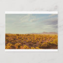 Recherche de 14 cartes postales Photographie