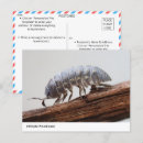 Recherche de bois naturel cartes postales Écorce