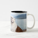 Recherche de chien de taureau tasses Nature