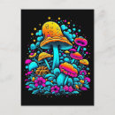 Recherche de rose fluorescent cartes postales Fleurs