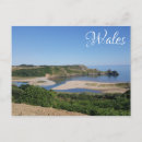 Recherche de le pays de galles Baleines