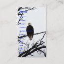 Recherche de aigle américain cartes visite Oiseau