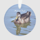 Recherche de canard en plastique ornements Pour tous