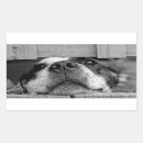 Recherche de chien idiot autocollants Drôle