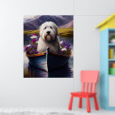 Recherche de vieux chien berger anglais posters Pour tous