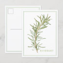 Recherche de persil cartes postales Cuisine