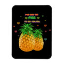Recherche de ananas magnets Coloré