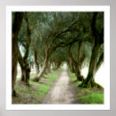 Recherche de jardin olive art Oliviers